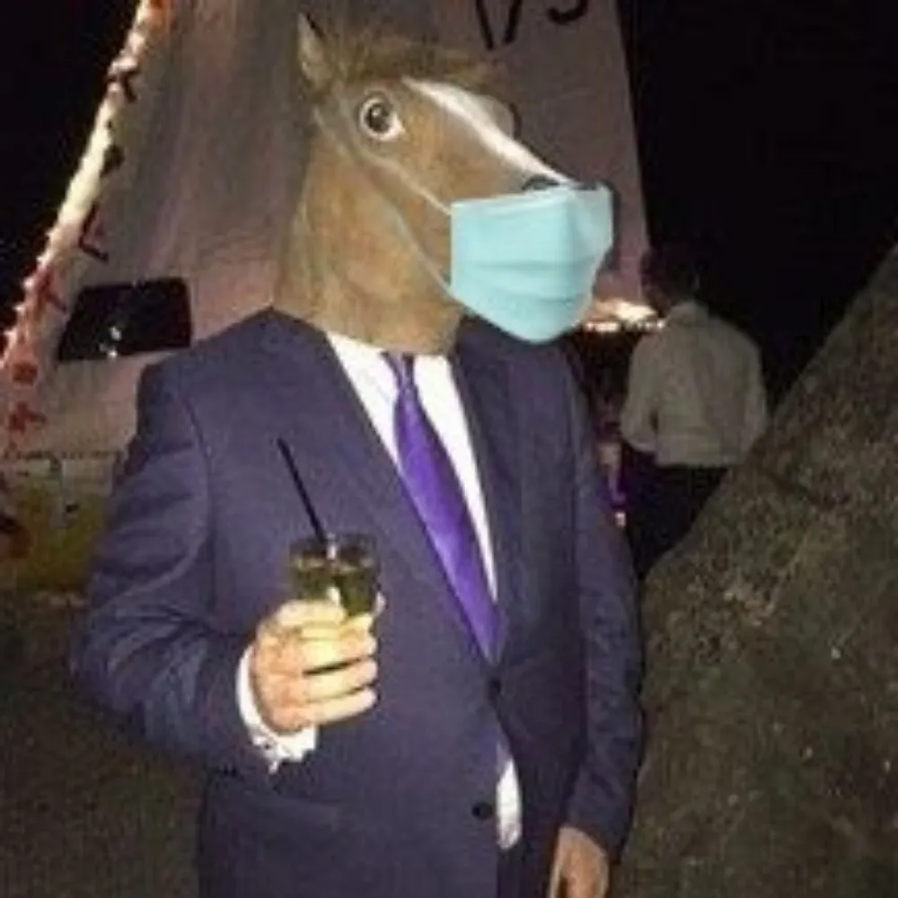 stuarthoughton.bsky.social's profile picture