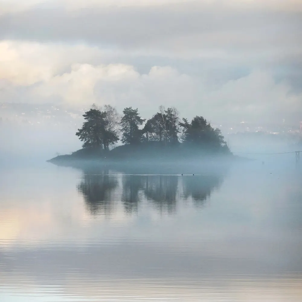 sealeveloslo.bsky.social's profile picture