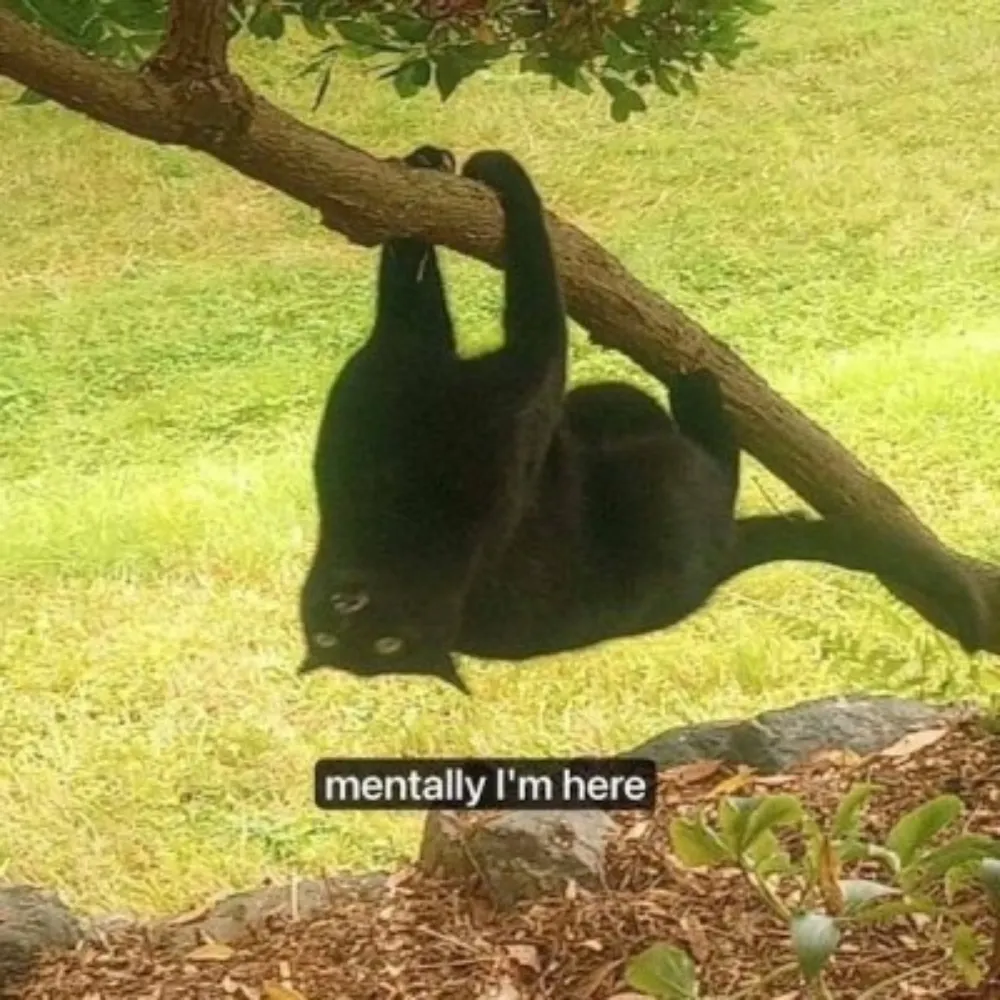 tattooed-thornback.bsky.social's profile picture