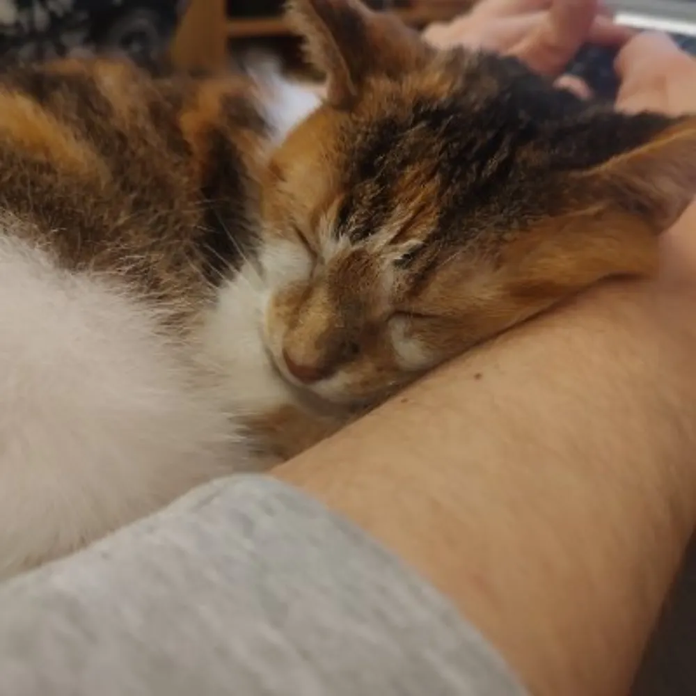 clumsyfunsucker.bsky.social's profile picture