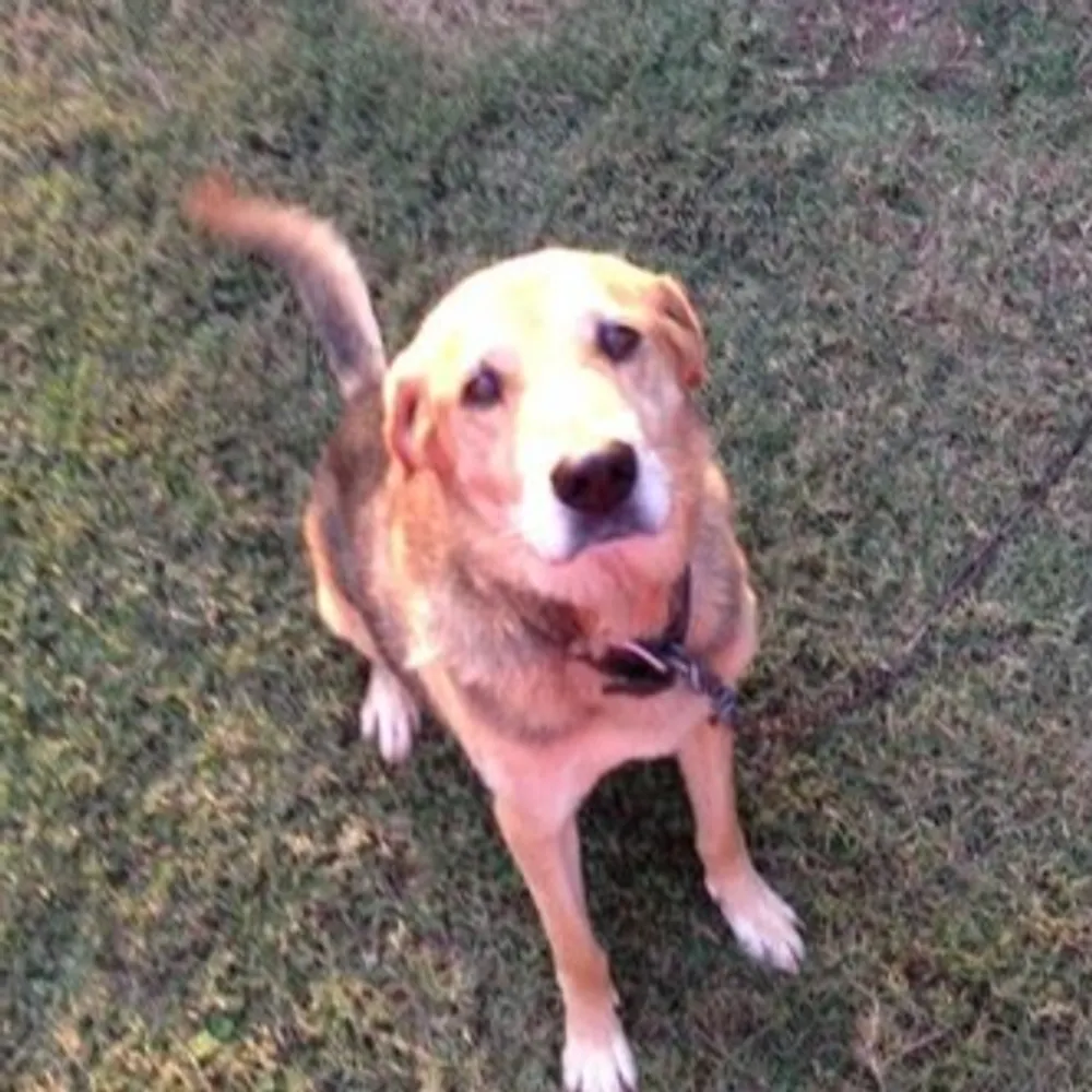 burkle.bsky.social's profile picture