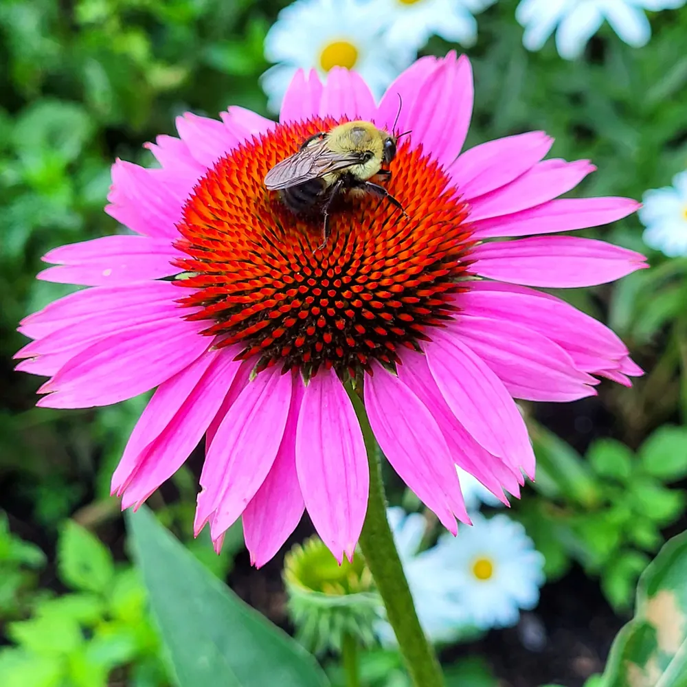 maireadd100.bsky.social's profile picture