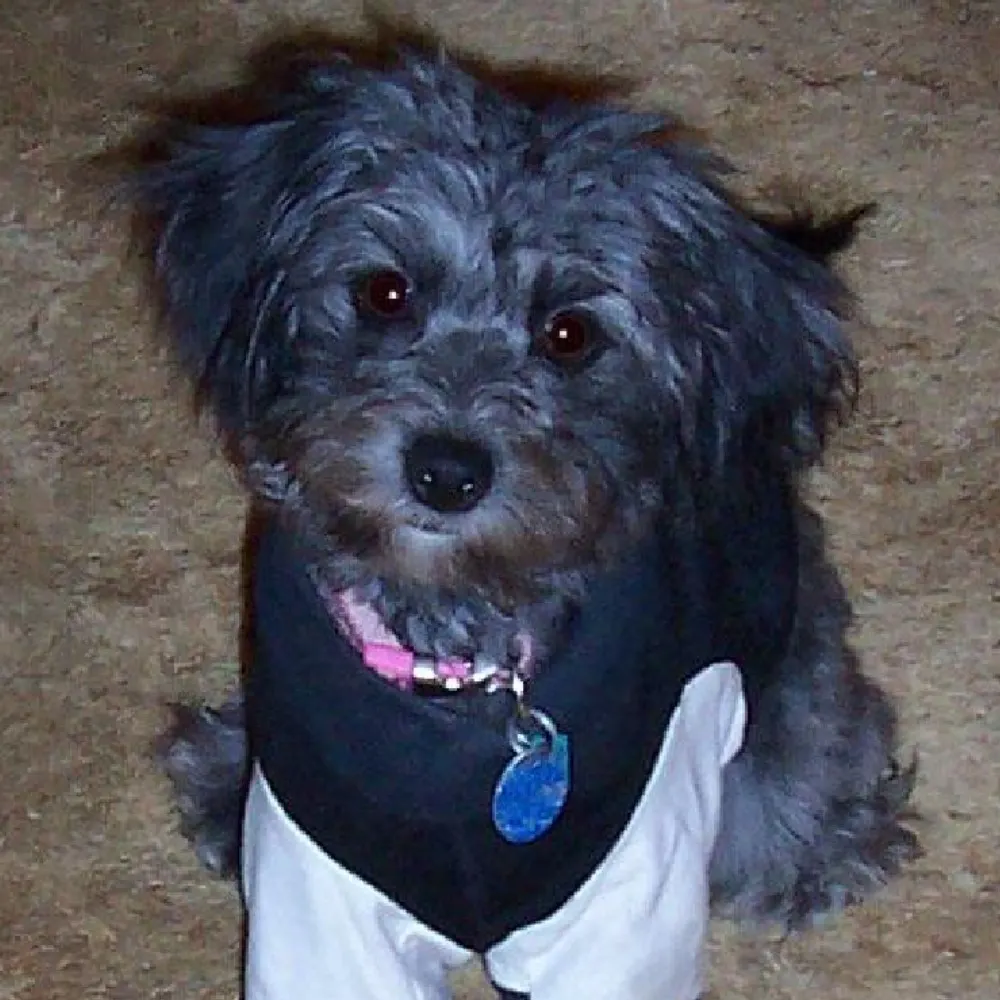 johnsmithrlperson.bsky.social's profile picture