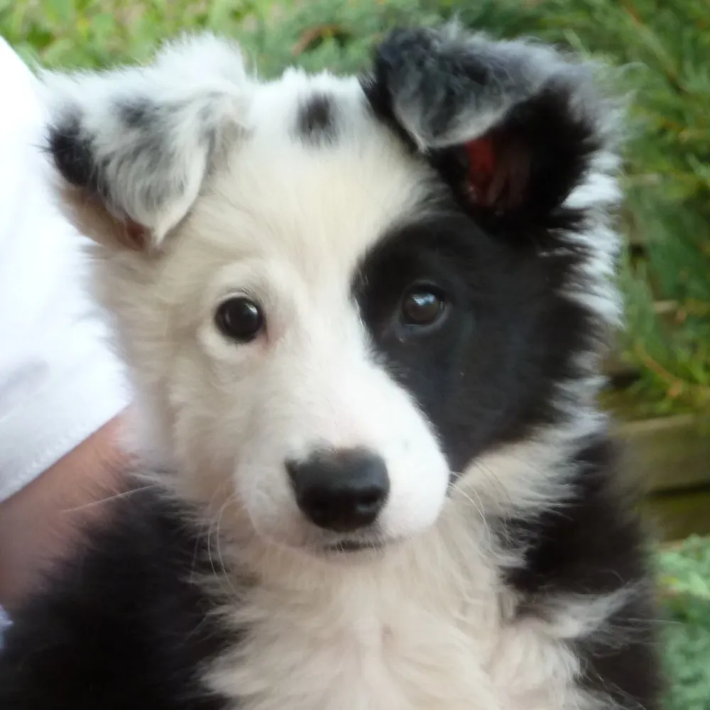 uteleschke.bsky.social's profile picture