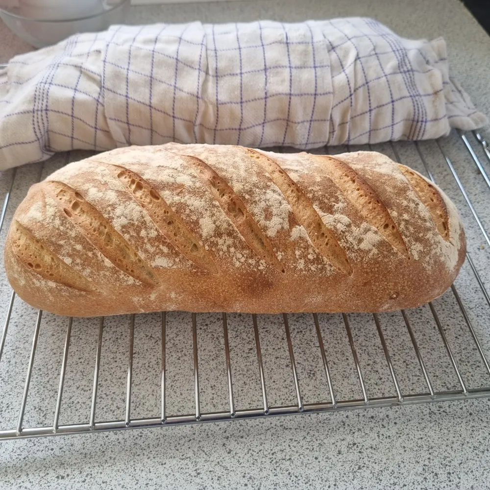 siliconopolitan.bsky.social's profile picture