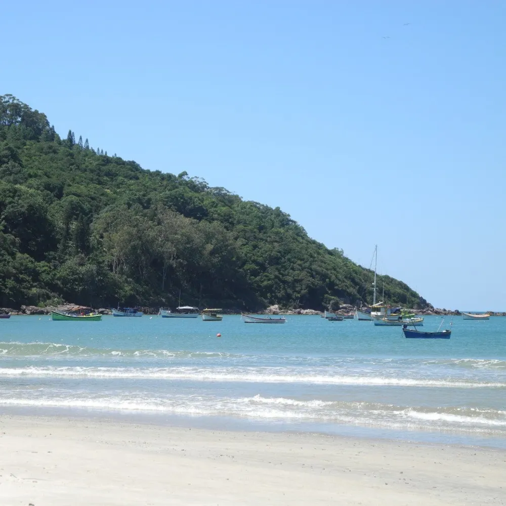 vohdapagu.bsky.social's profile picture