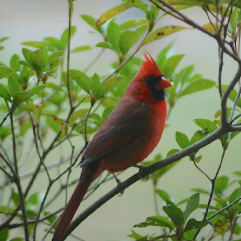 dsjackson.bsky.social's profile picture