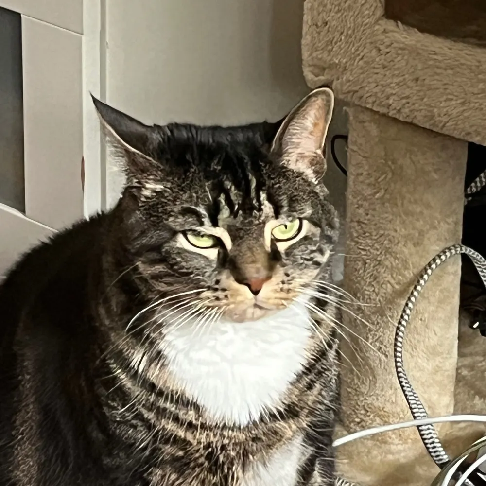 fitzy205.bsky.social's profile picture