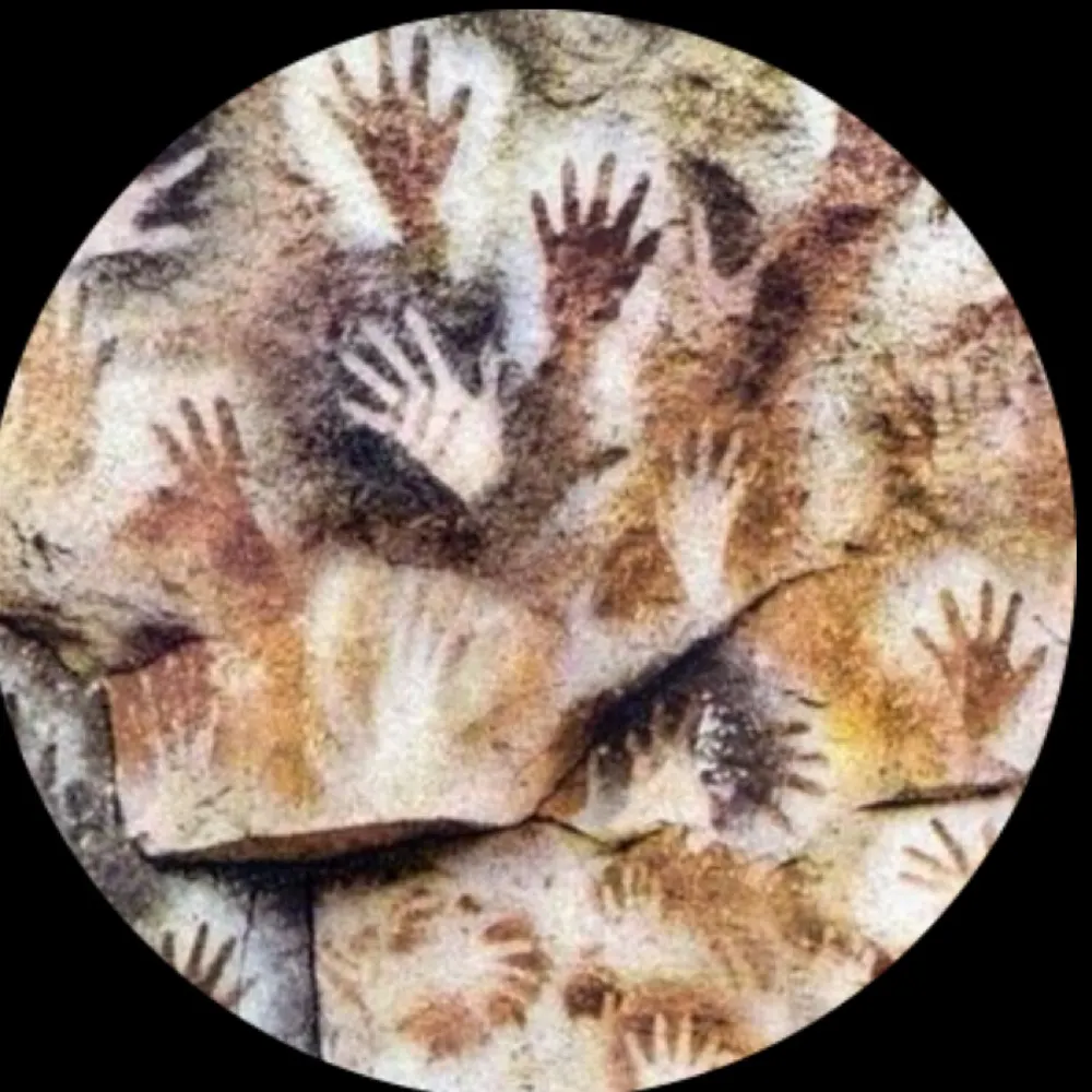 traceofwaste.bsky.social's profile picture