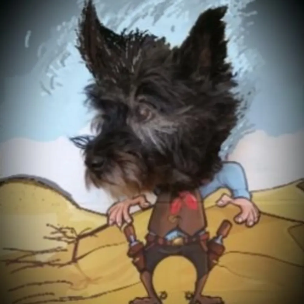 ktmaynot.bsky.social's profile picture