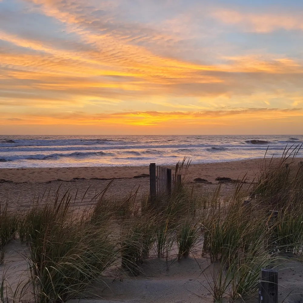 kilwer.bsky.social's profile picture