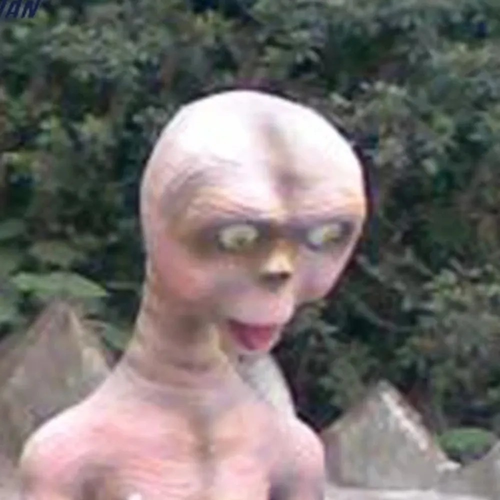 therealdamienryan.bsky.social's profile picture