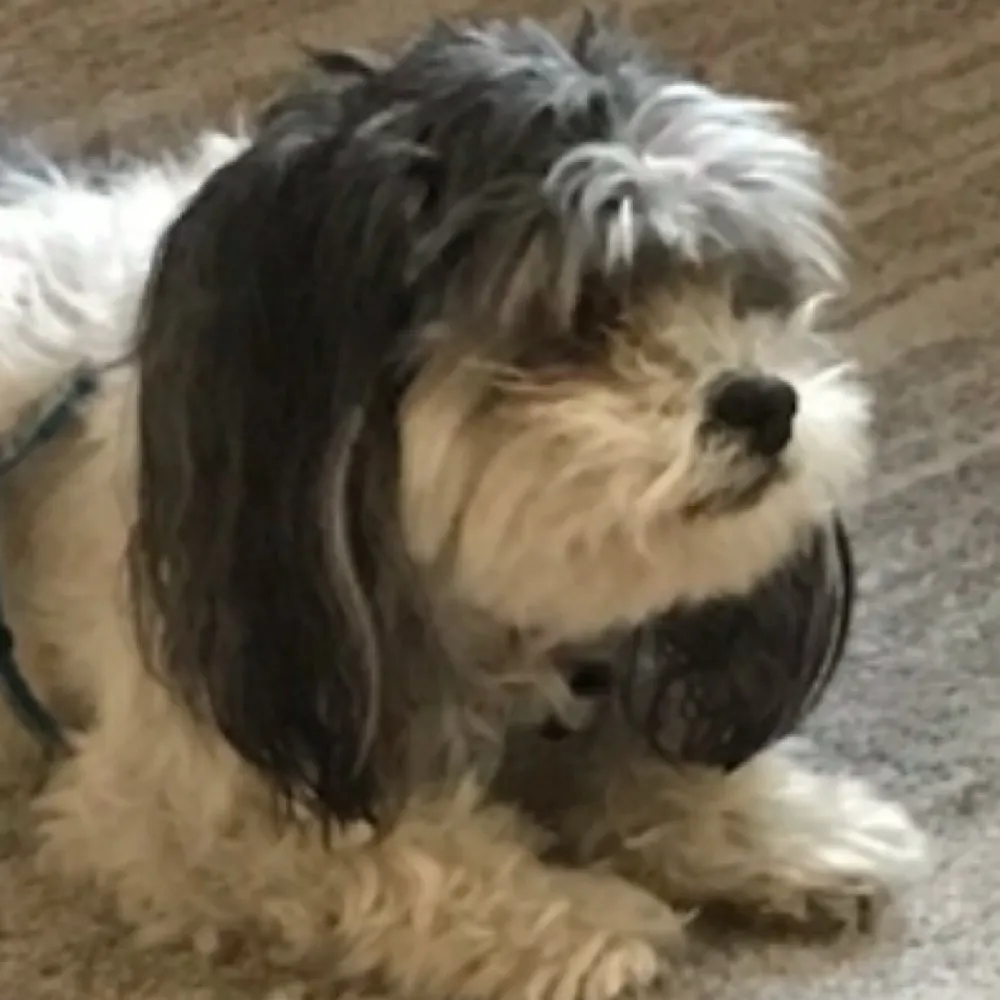 marleydelhow.bsky.social's profile picture