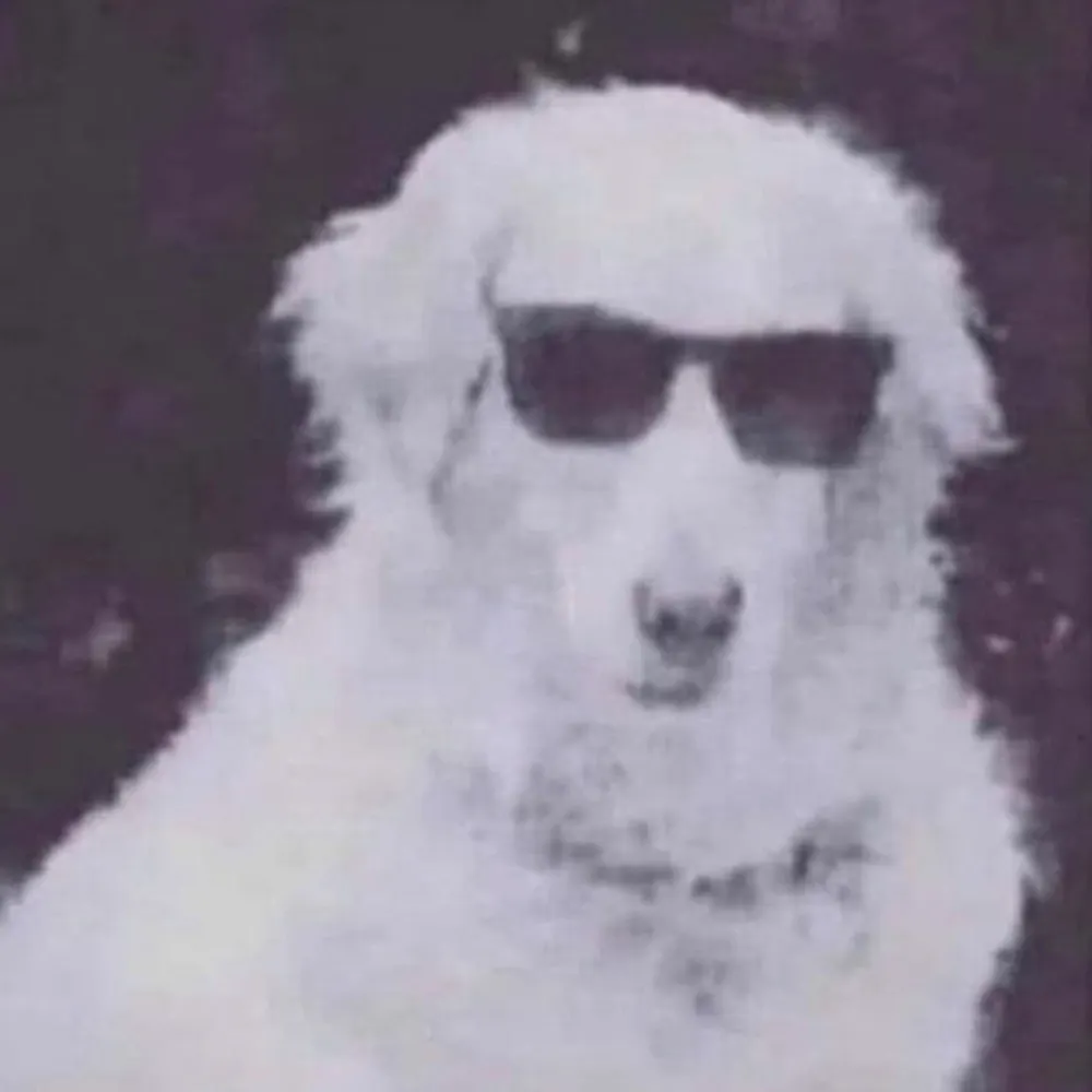 cooldude1977.bsky.social's profile picture