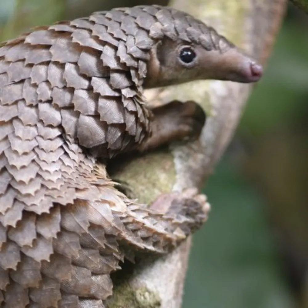 brgooley2.bsky.social's profile picture