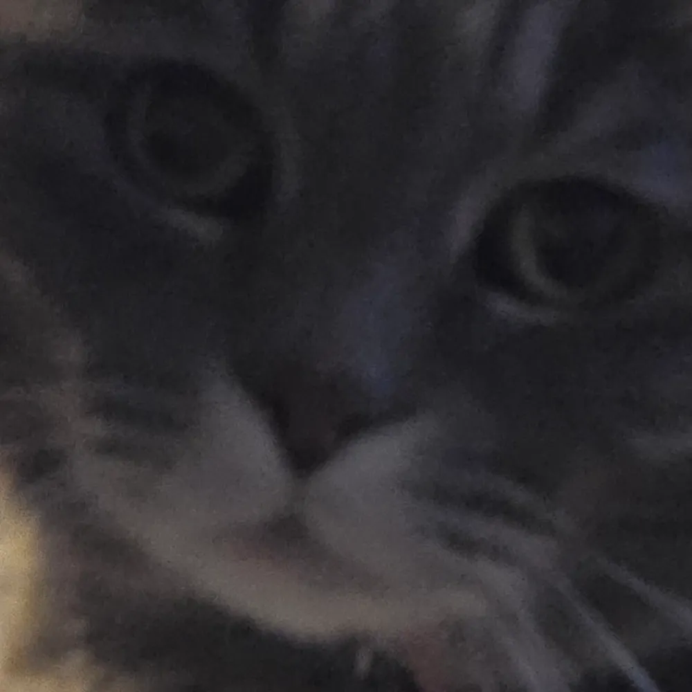 techdisaster.bsky.social's profile picture