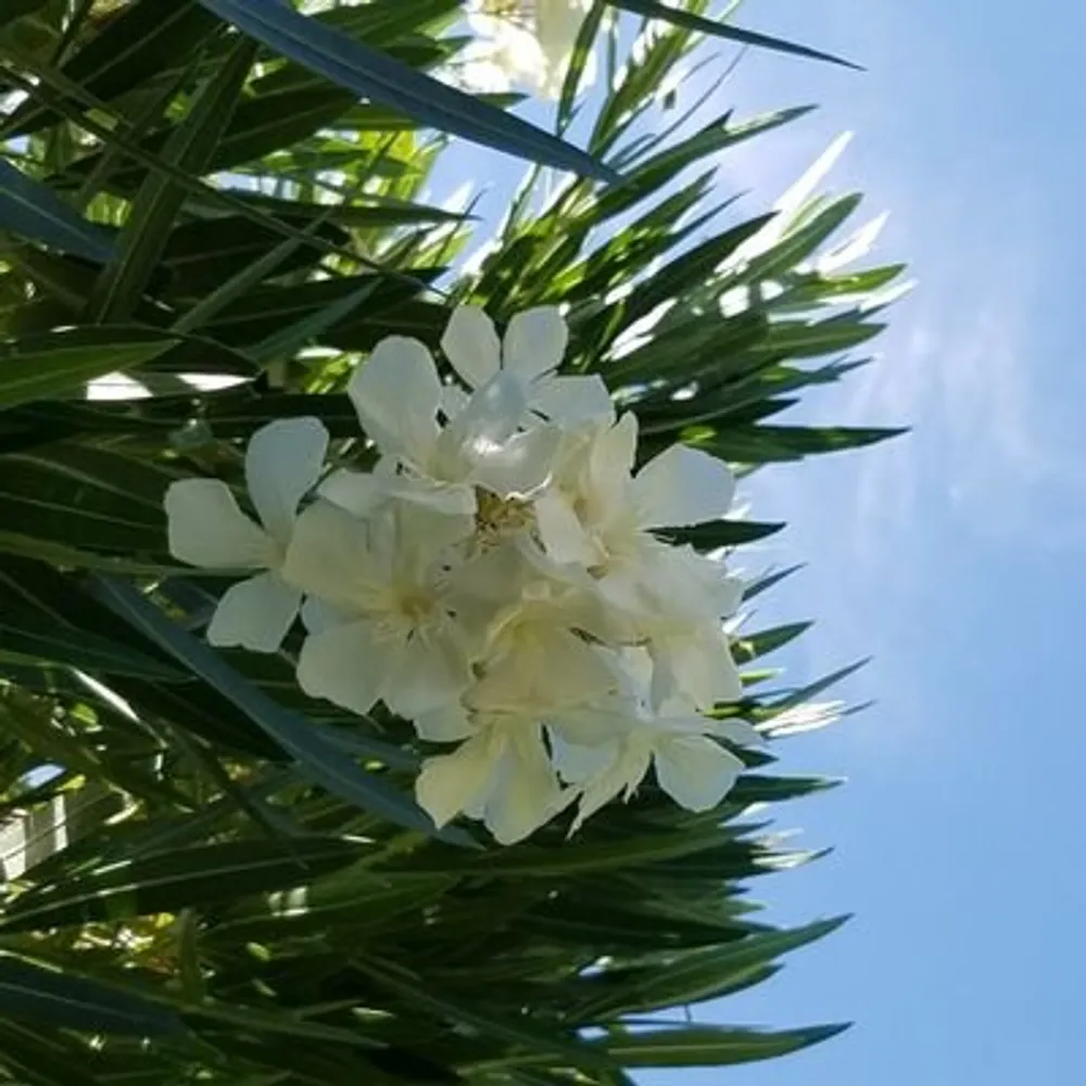 ollie209.bsky.social's profile picture