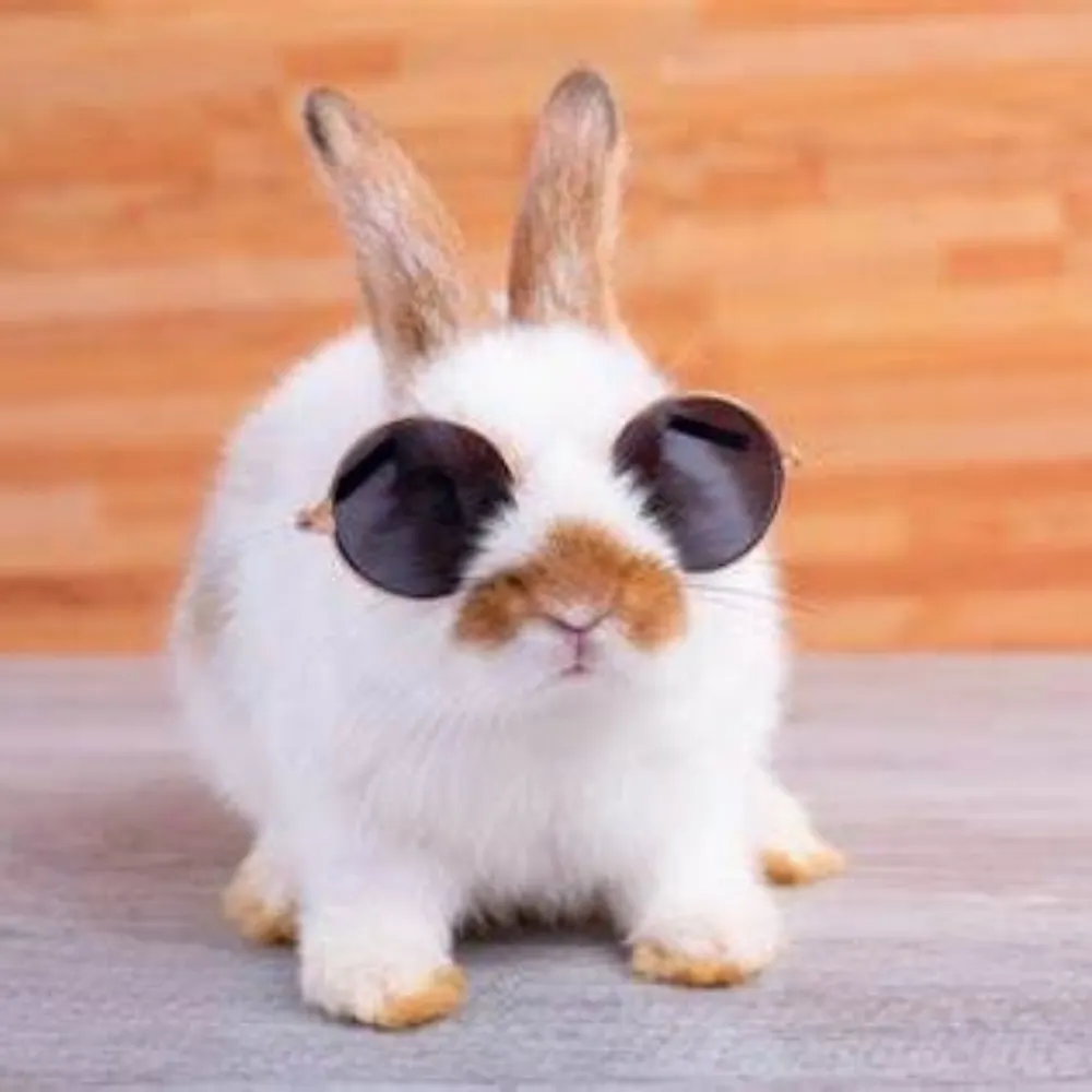 kngru.bsky.social's profile picture