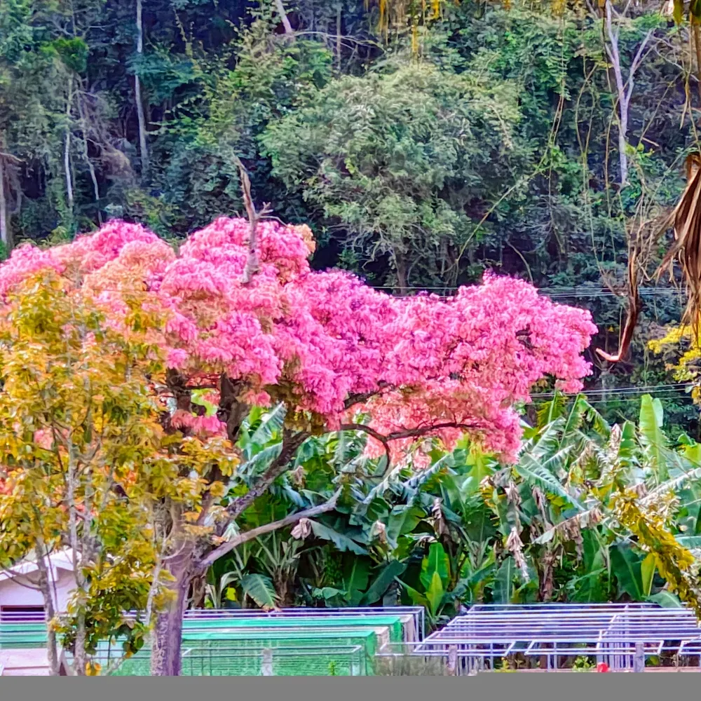 irlei.bsky.social's profile picture