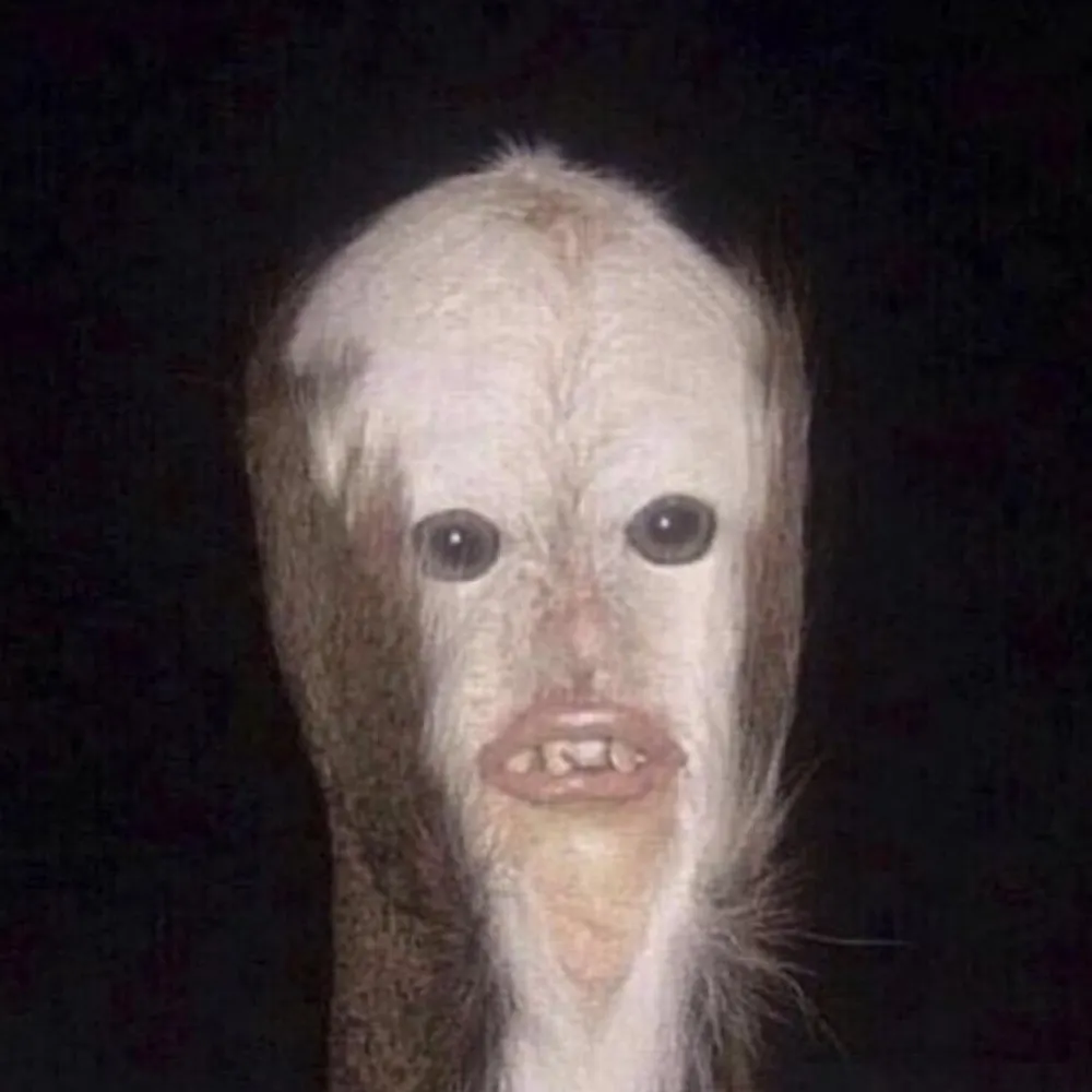 mister-fishy.bsky.social's profile picture