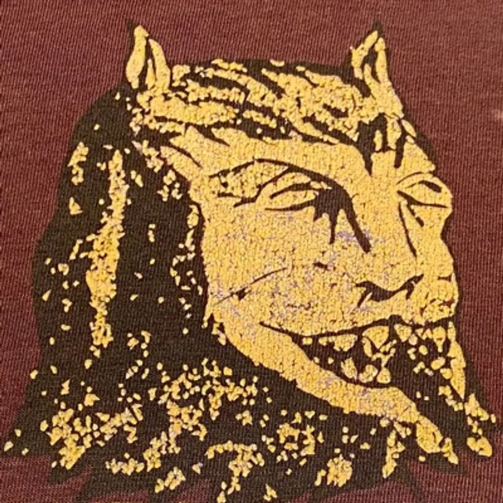 enceladusty.bsky.social's profile picture