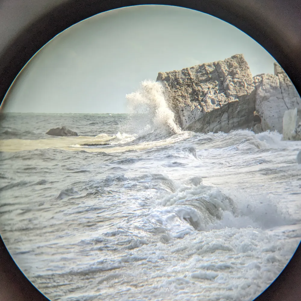 justmetrustme.bsky.social's profile picture