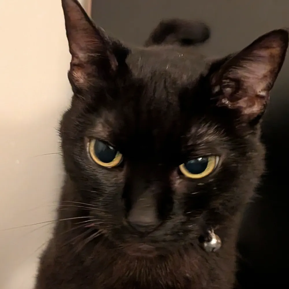 trask666.bsky.social's profile picture