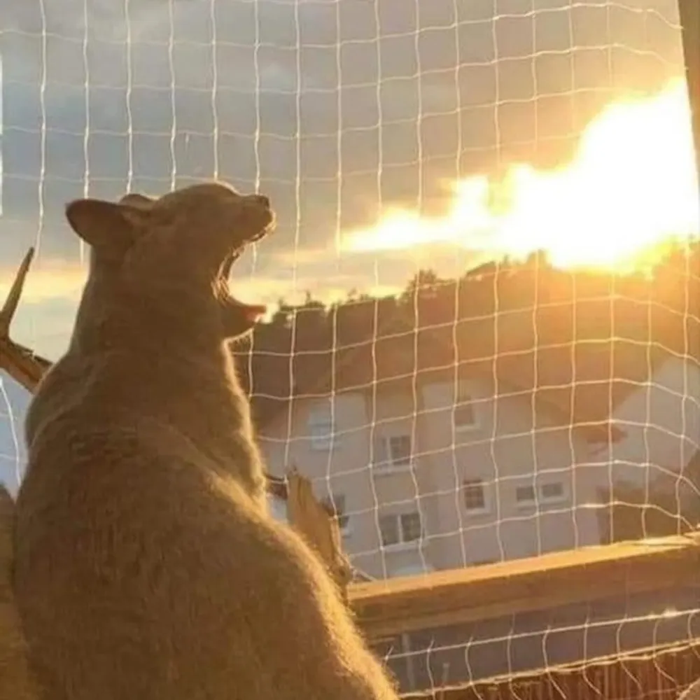 truthfirstly.bsky.social's profile picture