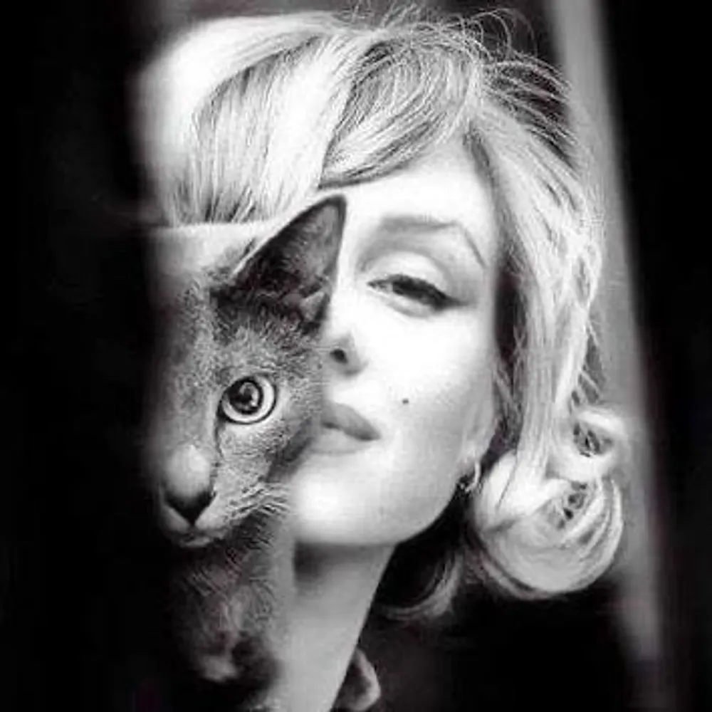 emmarose40150.bsky.social's profile picture