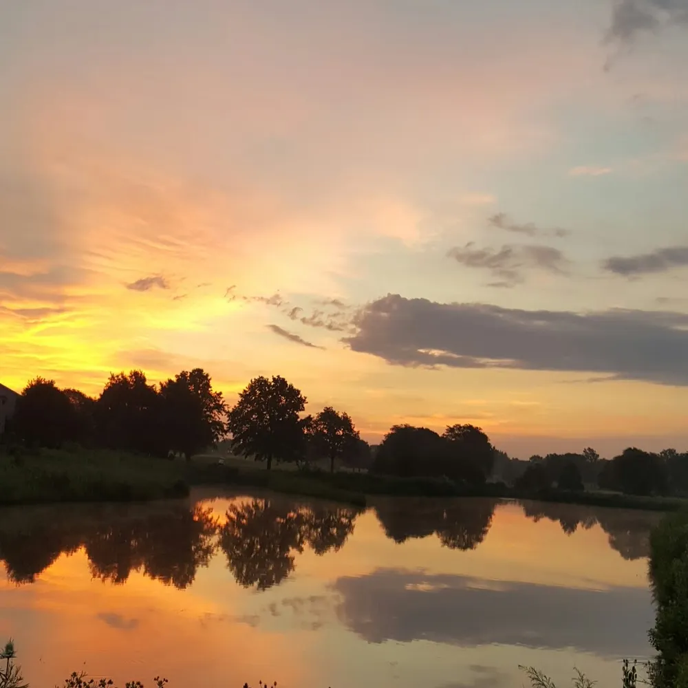 healingnation.bsky.social's profile picture