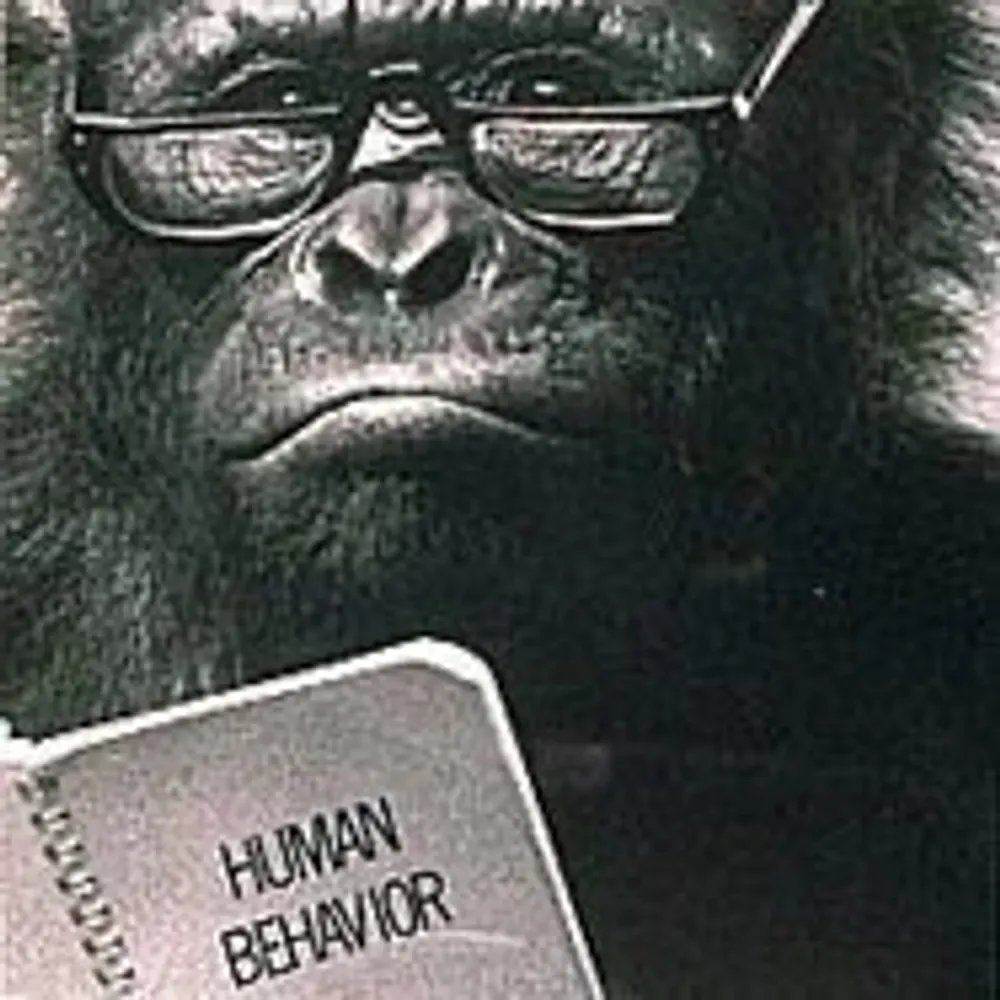 norsedog.bsky.social's profile picture