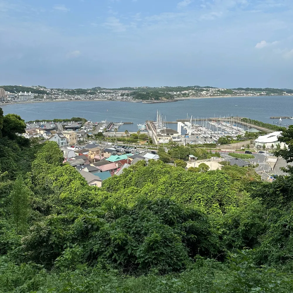 ryu-r18.bsky.social's profile picture