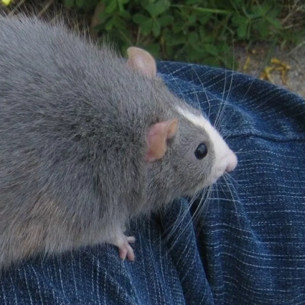 winyf.bsky.social's profile picture