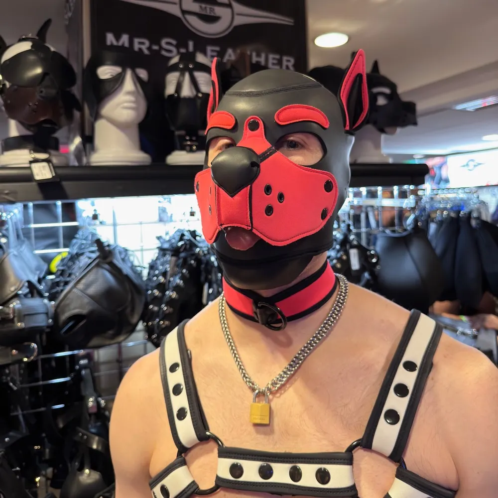 mooonpuppy.bsky.social's profile picture