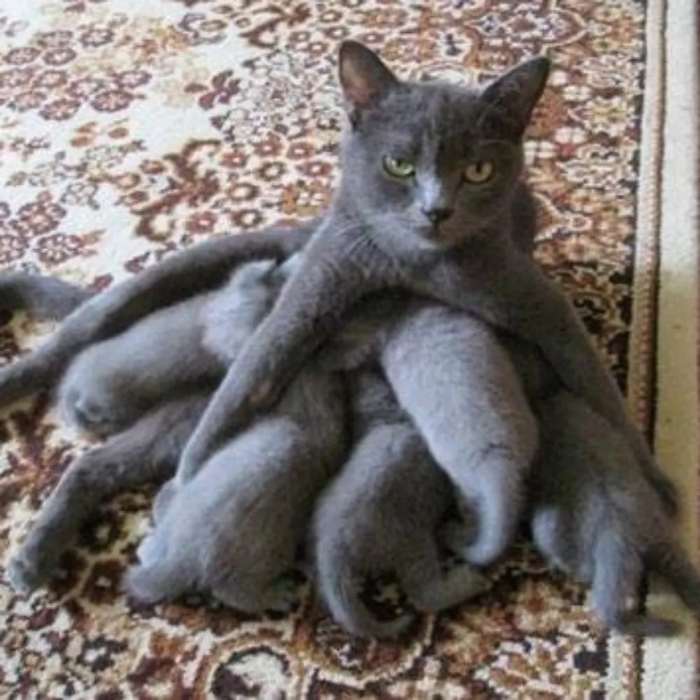 frankexchange.bsky.social's profile picture