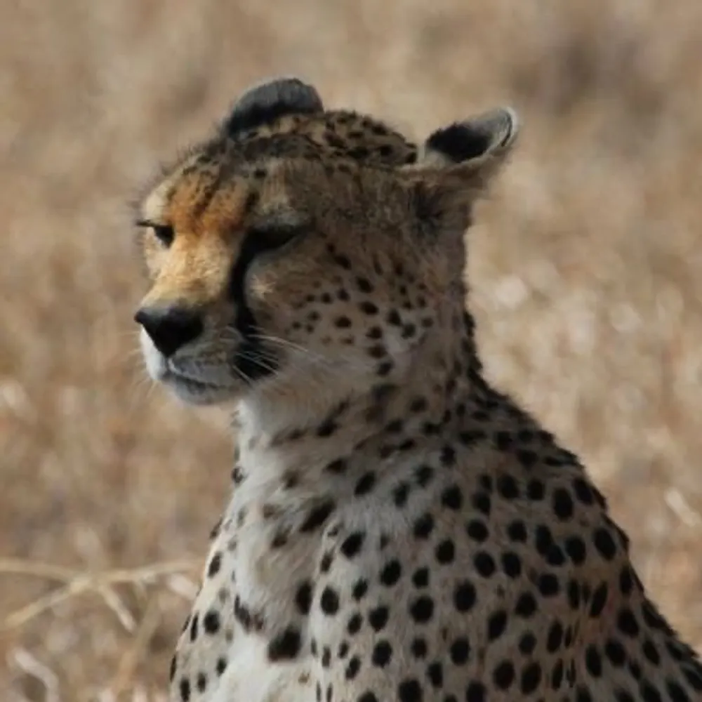 brunhilde2525.bsky.social's profile picture