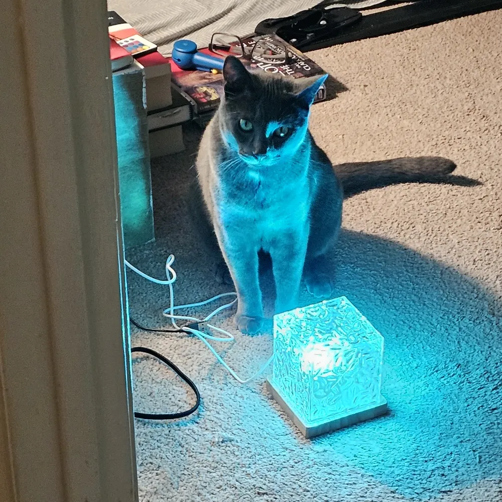 akirathelemur.bsky.social's profile picture