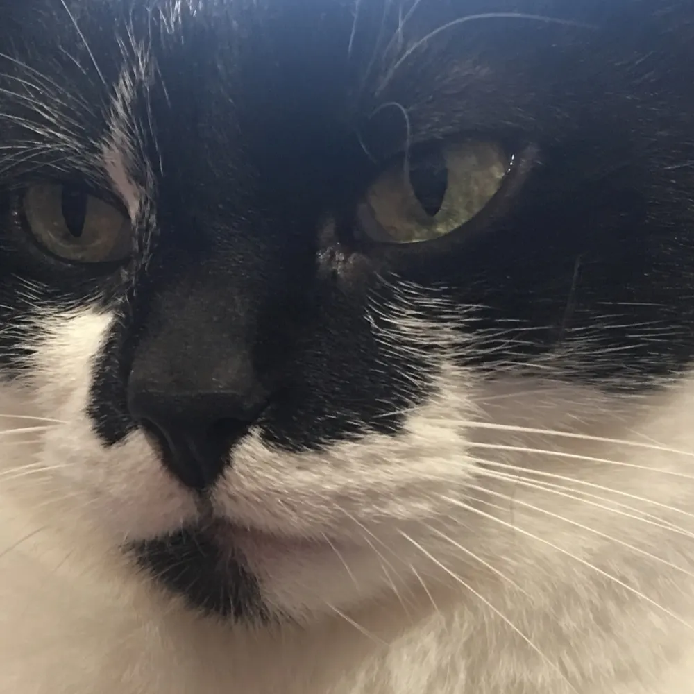 excanberran.bsky.social's profile picture