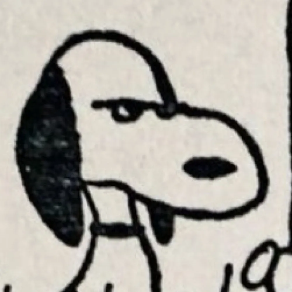 blimbi.bsky.social's profile picture