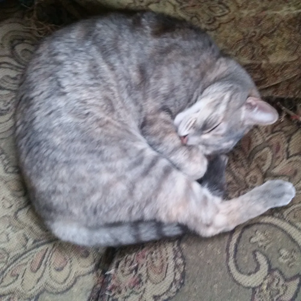 haydukeorwell.bsky.social's profile picture