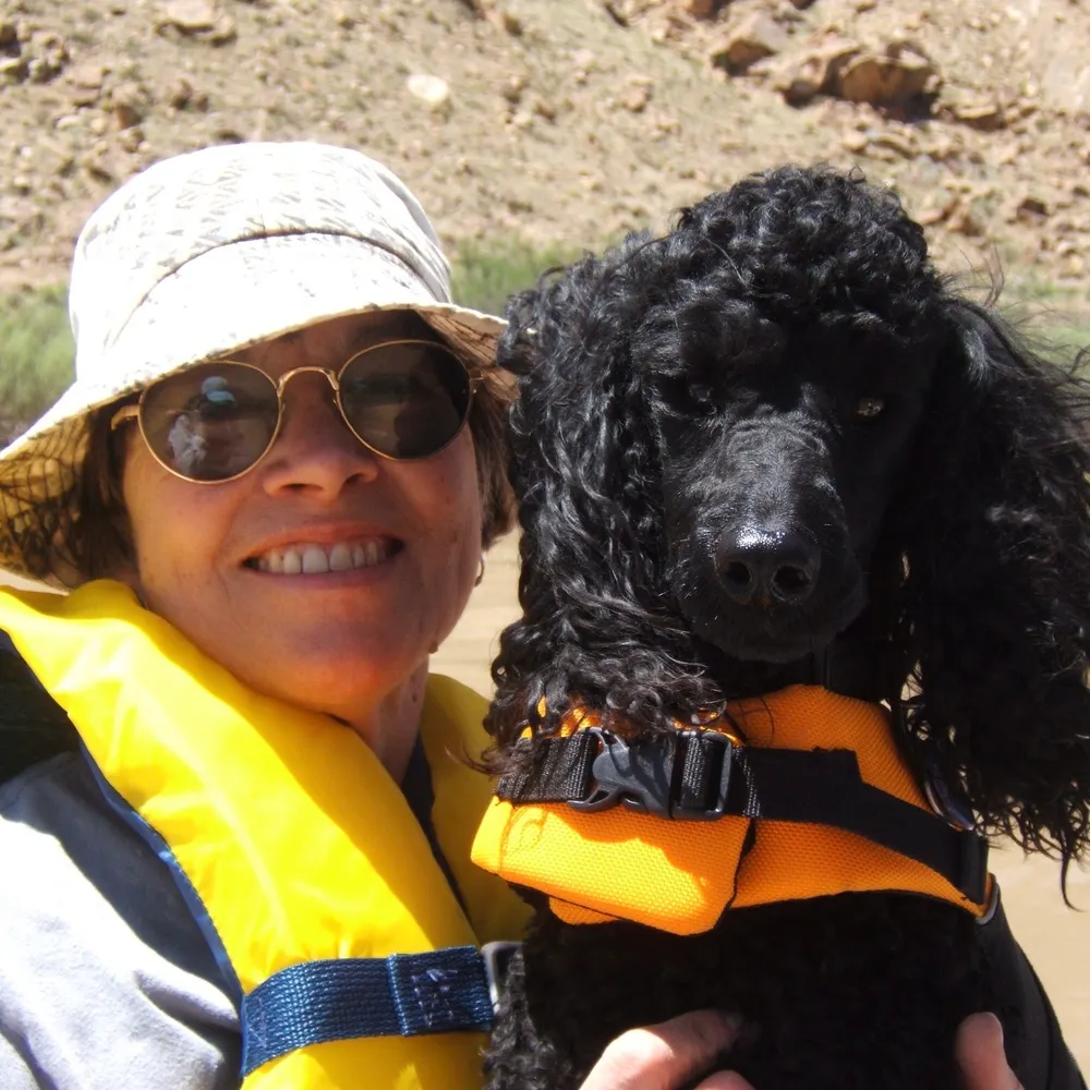 peggystuart.bsky.social's profile picture