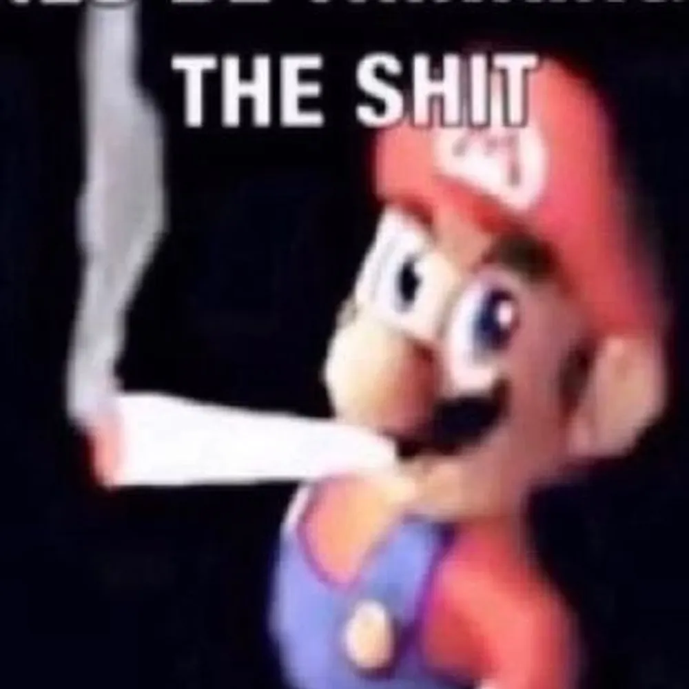 livs.zone's profile picture