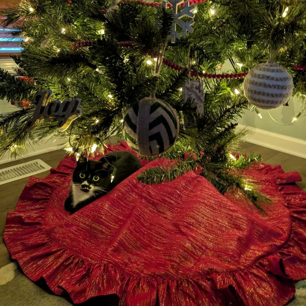 treetop70bgs.bsky.social's profile picture