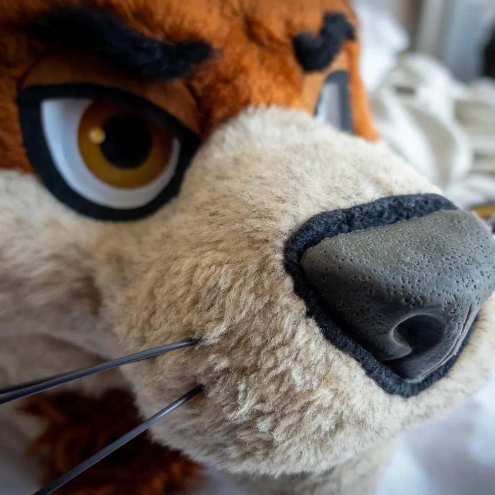 barkleybeaver.bsky.social's profile picture