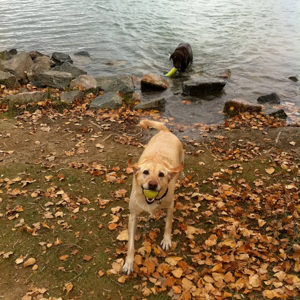 leftlimelight.bsky.social's profile picture