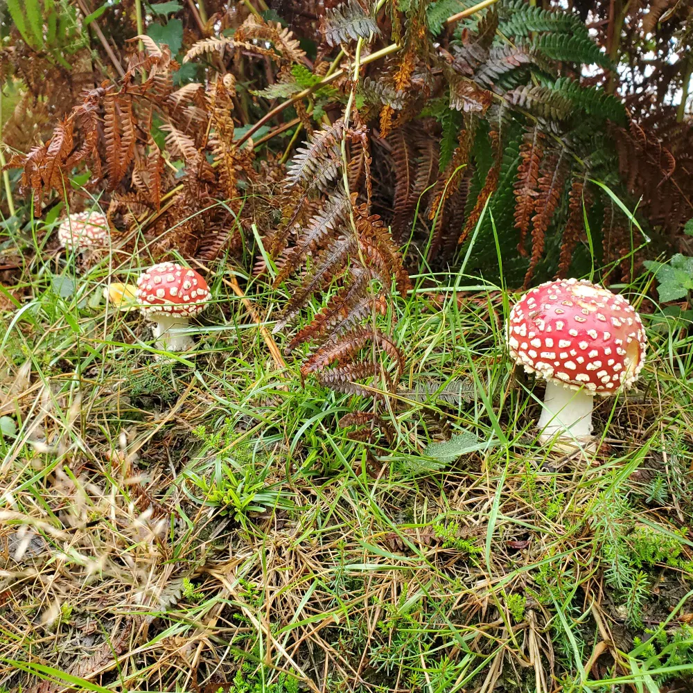 aguynamedglitch.bsky.social's profile picture