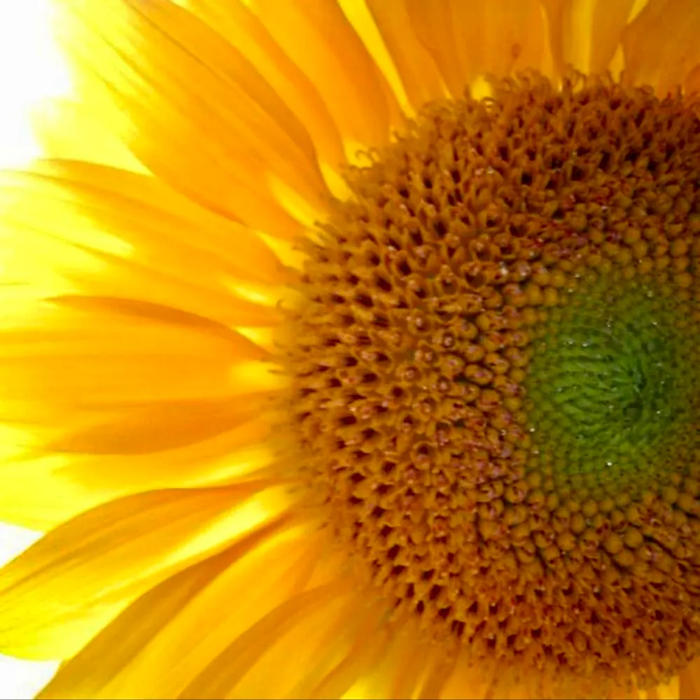 starrystarrynights.bsky.social's profile picture