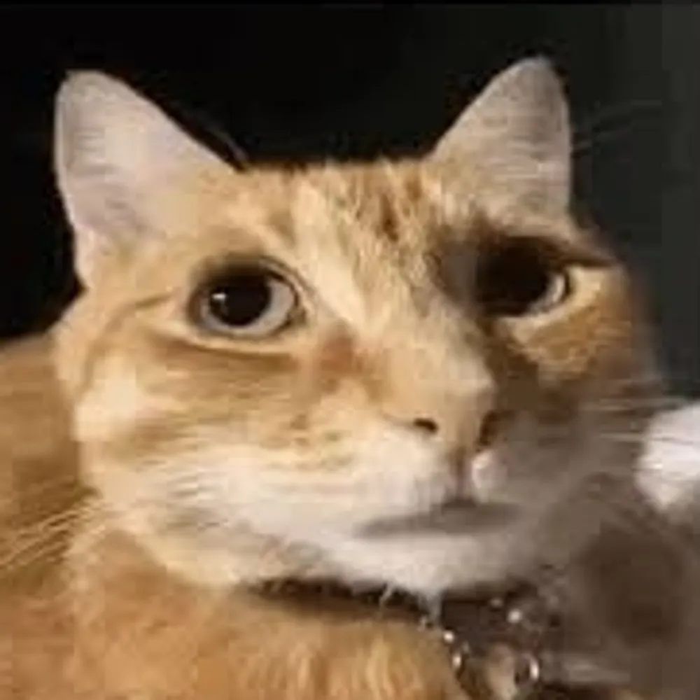 wolter6231.bsky.social's profile picture