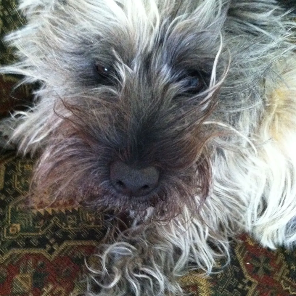 gem59.bsky.social's profile picture