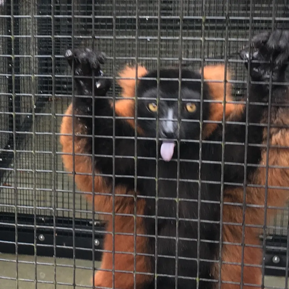 nonamesplease.bsky.social's profile picture